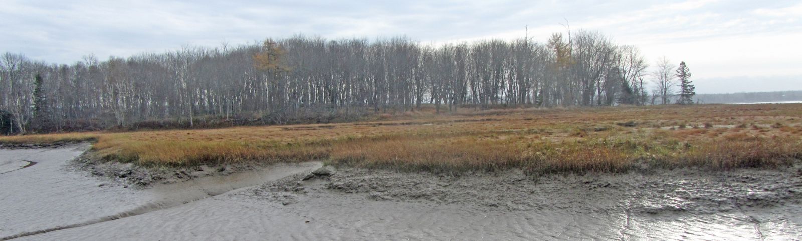Marsh Island Loktite Snooded Trotline, 7/32 x 1,200